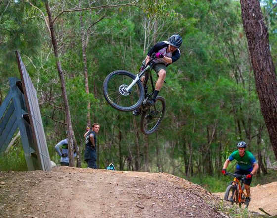 Mountain Bike Trails Trailworx